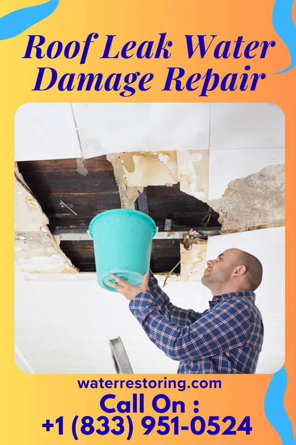 Roof Leak Water Damage Repair in Spearfish, SD